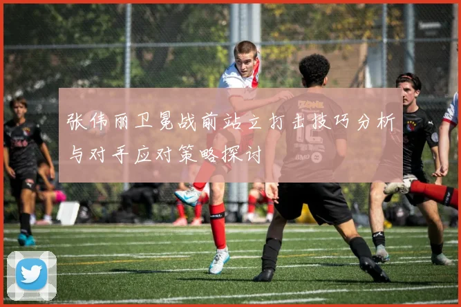 张伟丽卫冕战前站立打击技巧分析与对手应对策略探讨